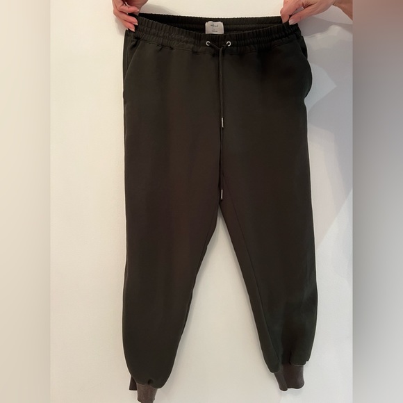 Wilfred aritzia dressy joggers - Picture 3 of 4